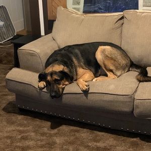 Meet your Posher, Jeffrey